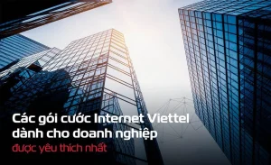 Các gói cước cáp quang Viettel cho Doanh Nghiệp tốt nhất 2026